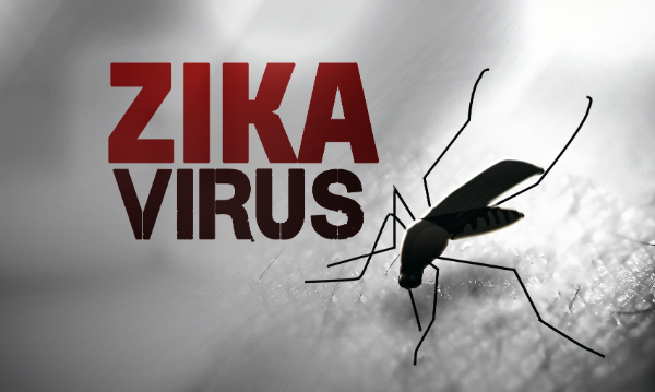 Virut Zika hoành hành ở Singapore, Bộ Y tế họp bàn ứng phó